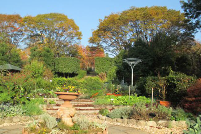 西宮市北山緑化植物園イメージ