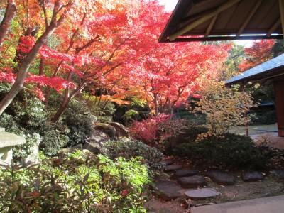 西宮市北山緑化植物園