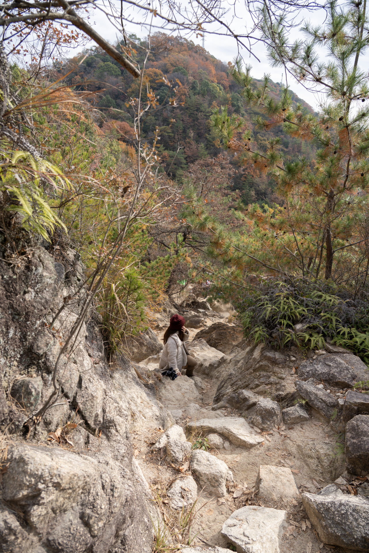 芦屋ロックガーデン