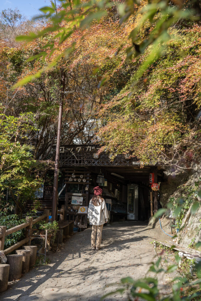 芦屋ロックガーデン