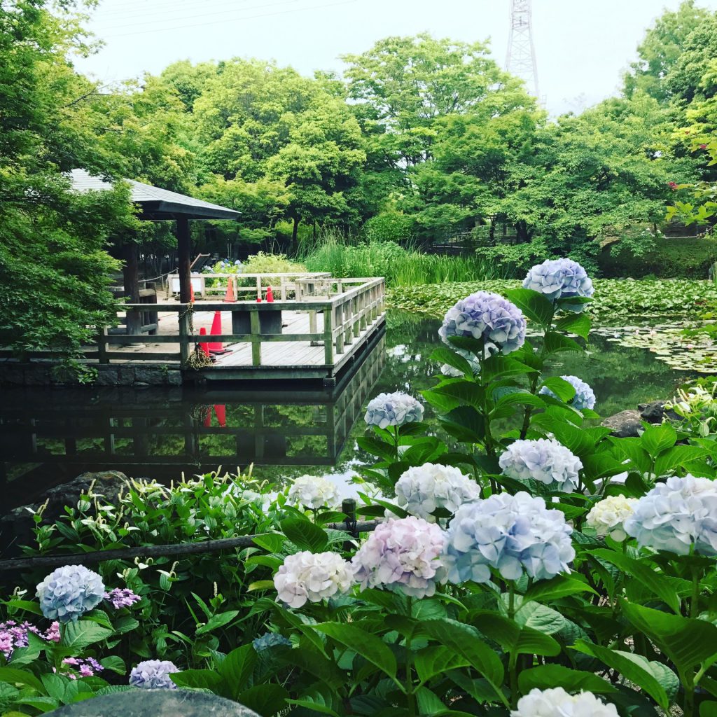 網引公園