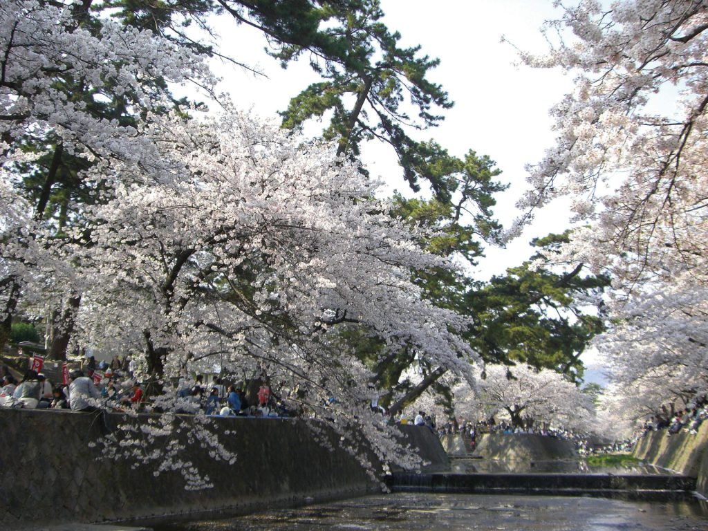 夙川公園