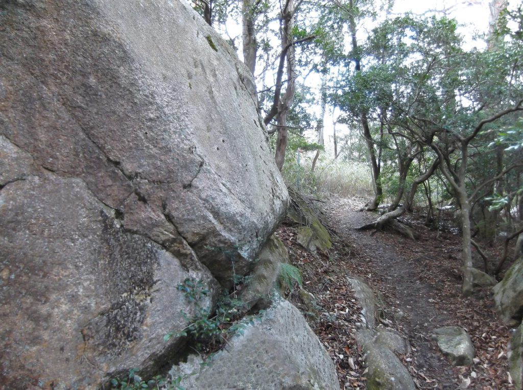 ごろごろ岳ハイキング