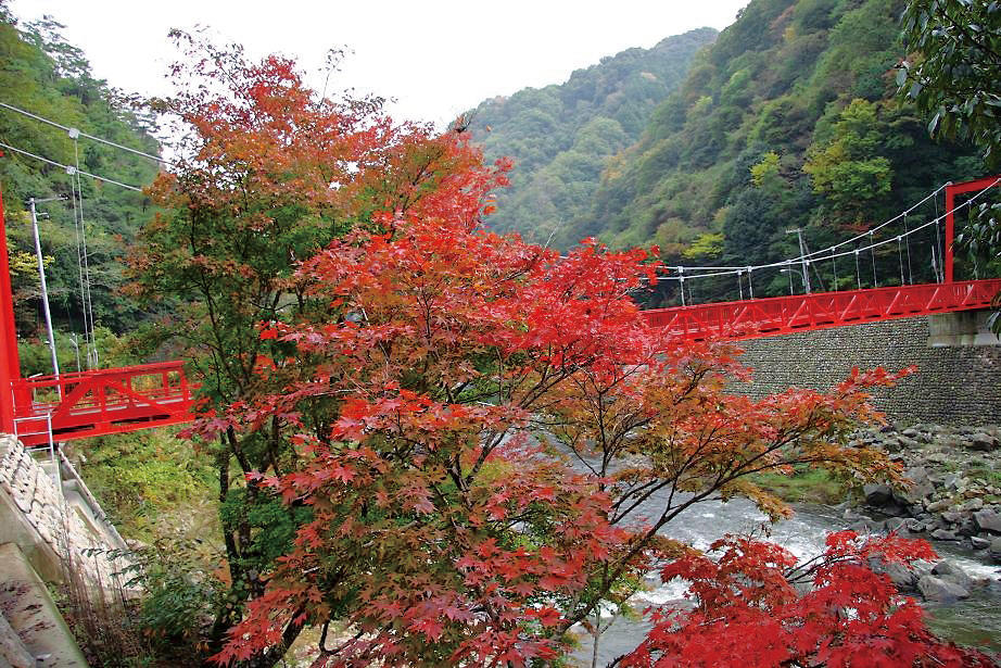 武田尾の紅葉