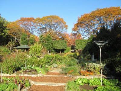 西宮市北山緑化植物園