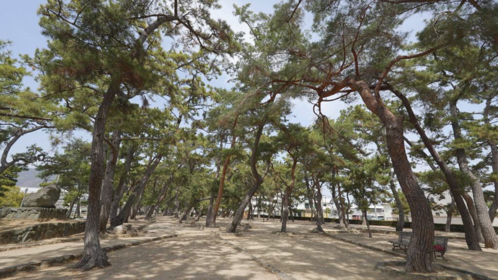 芦屋公園